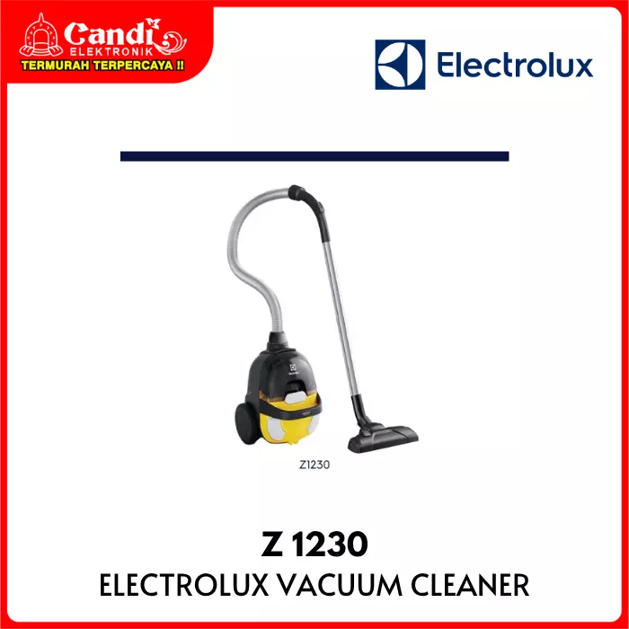 Vacuum Cleaner Electrolux
